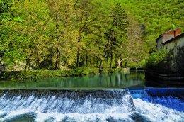 The springs of the River Vipava 